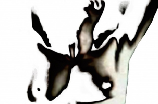 Танцови провокации на Ана Саласар във В. Търново