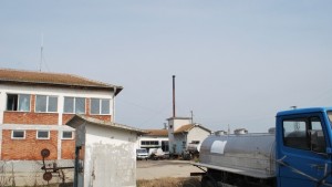 Мляко със съмнения за афлатоксини засякоха в пункта на село
