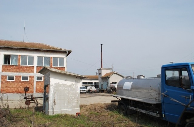 Мляко със съмнения за афлатоксини засякоха в пункта на село Динево