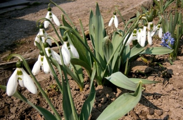 Предимно слънчево