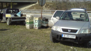 Спипаха 250 кг незаконна риба