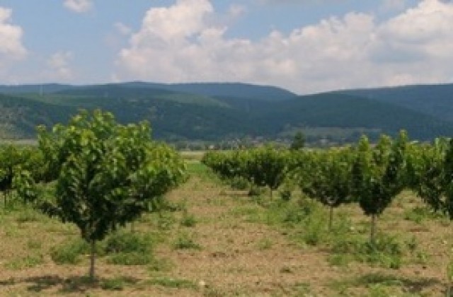 Община Кюстендил продава 42 земеделски имота