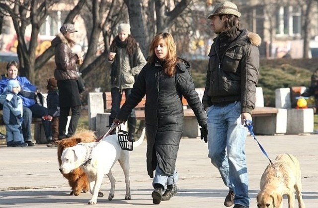 12 лв. годишна такса плащат собственици на кучета в Г. Оряховица