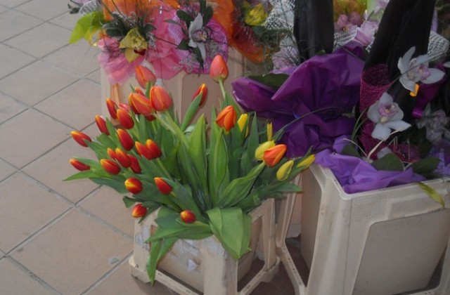 Розата и карамфилът най-купувани за 8 март