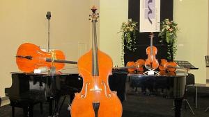 Как се отглежда гений