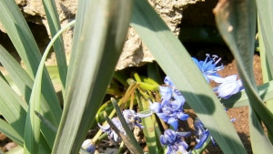 Топла събота