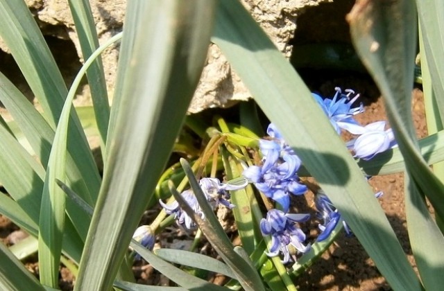 Топла събота