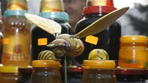 Пчелари се събират за Фестивал на меда