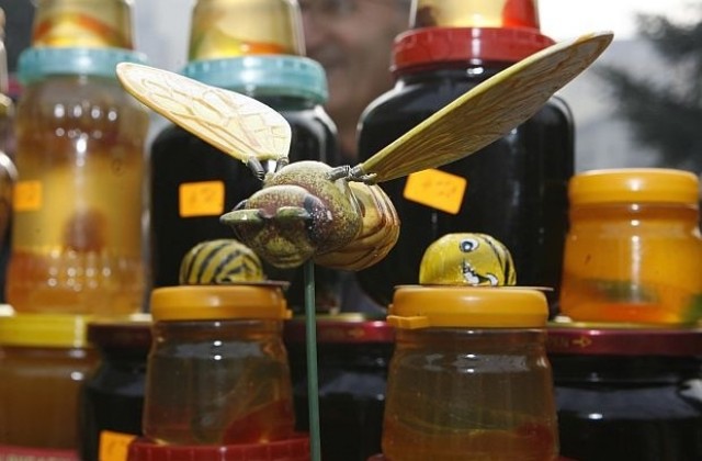 Пчелари се събират за Фестивал на меда