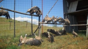 С 376 000 евро дават Живот на Кресненското дефиле