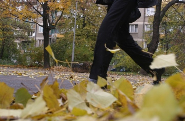 Жълт код в Пловдивско, чакат силен вятър