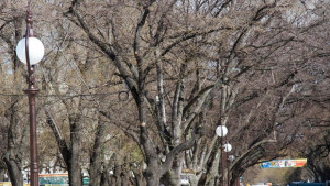 Ремонтират основни улици подлези и детски площадки