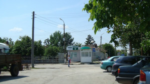 Трима алжирци и мароканец заловени до българосръбската граница