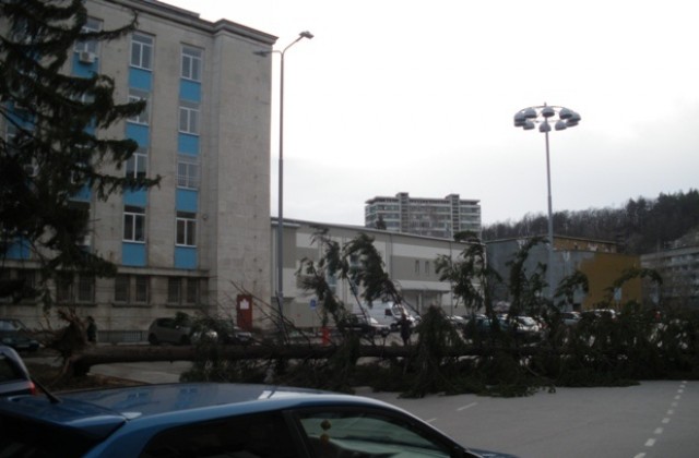 Обявява се бедствено положение в община Габрово