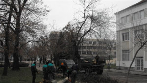Силният вятър нанесе щети и в Търговщко