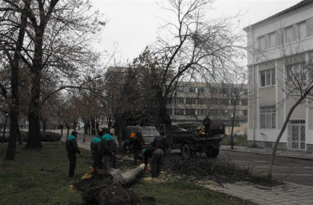 Силният вятър нанесе щети и в Търговщко