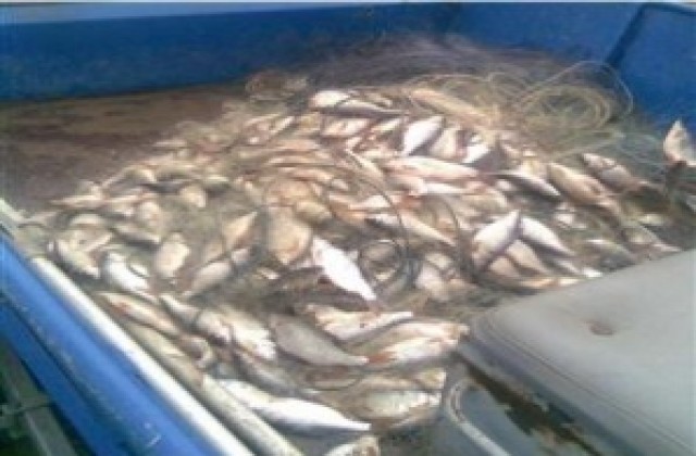 600 м бракониерски мрежи извадиха от язовир „Съединение