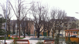 Пускат безплатен интернет зад пазар Чаталджа