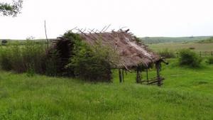 Елате в Средец на събора