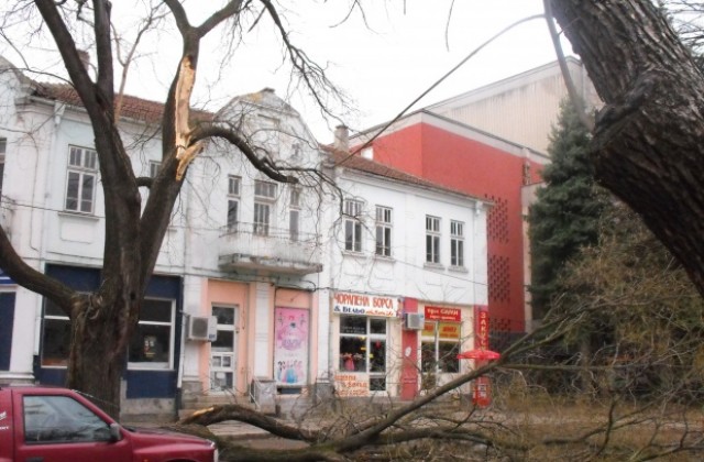 Вятърът изпочупи стъклата на кметства и детски градини в Омуртажко