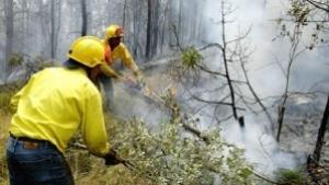 Доброволчеството като кауза