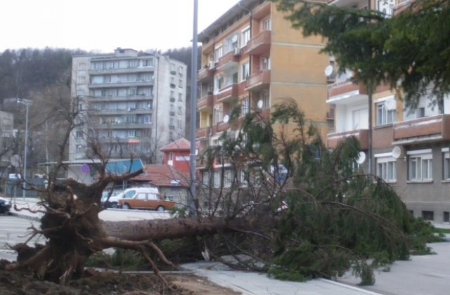 Бедственото положение в Габрово остава в сила