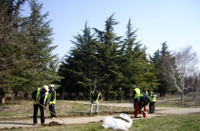 Почистването на парк Бедечка се отложи заради студа