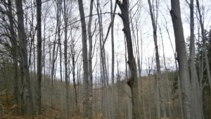 Температурите падат