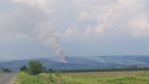 Намериха невзривени снаряди край Петолъчката