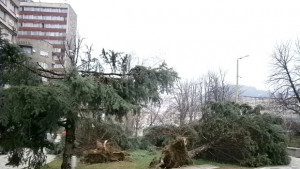 Активно се работи за възстановяване на мрежата ниско напрежение