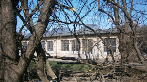 Трайно безработни се включват в разчистването след урагана