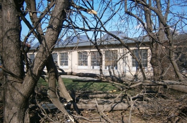 Трайно безработни се включват в разчистването след урагана