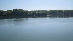 Изложба за Деня на водата