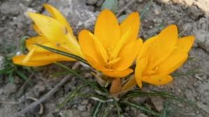 Предимно слънчево