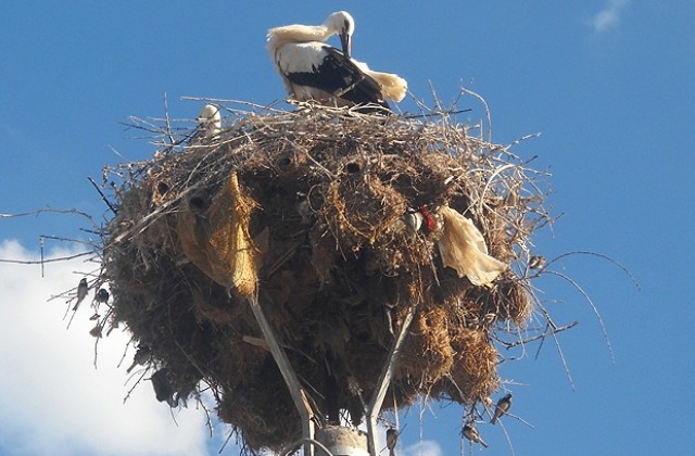 Предимно слънчево