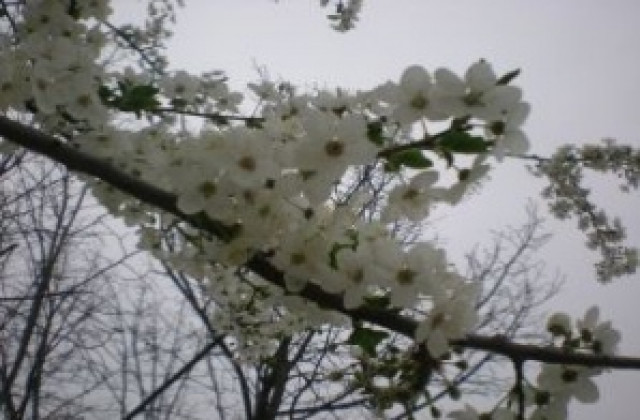 Настъпва астрономическата пролет