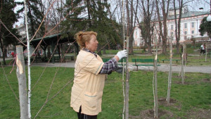 Пролетната озеленителна кампания е в ход