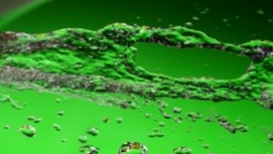 Във водни феномени се превръщат ученици от ОУ Елин Пелин