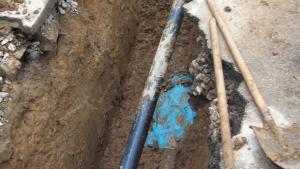 Благодарност от ГД ДНЕС