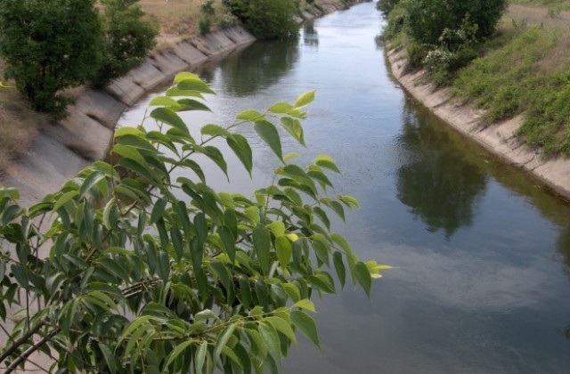 Световен ден на водата