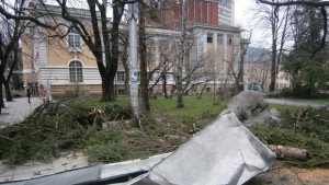 За омразата и урагана