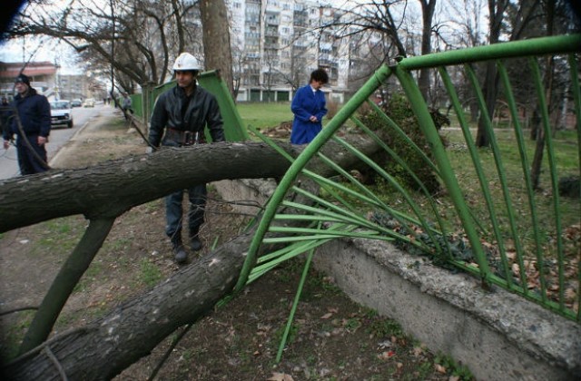 Стотици сигнали за произшествия заради силните ветрове
