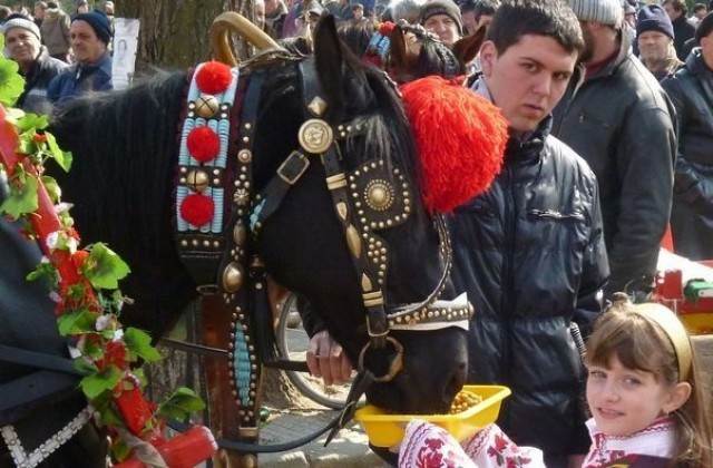 На Тодорова събота глезят конете