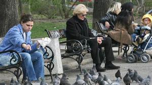 Българската болест