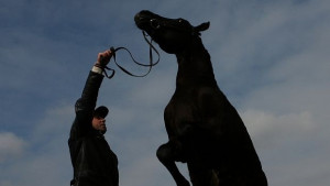 Празнуваме Тодоровден