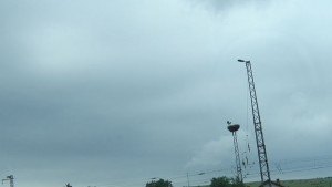 Облачността намалява до слънчево но остава студено