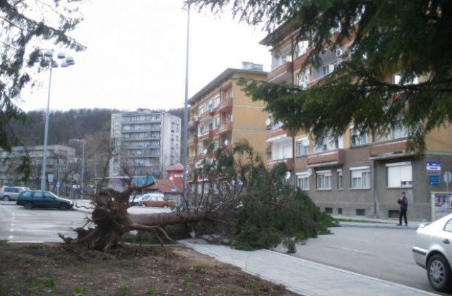 Ураганният вятър в страната продължава