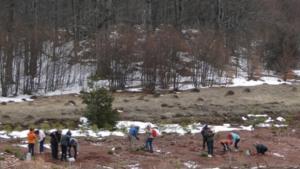 Деца засадиха борчета на Узана