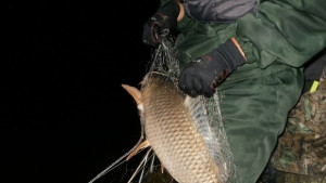 Инспектори от ИАРА конфискуваха над 330 метра рибарски мрежи