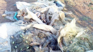 100 м бракониерски мрежи на язовир Александър Стамболийски